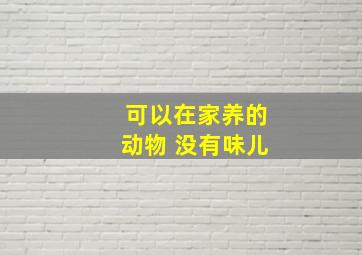 可以在家养的动物 没有味儿